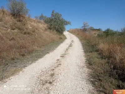 CAP MIDIA ,teren intravilan cu PUZ,5.000 mp,langa mare! - foto 3