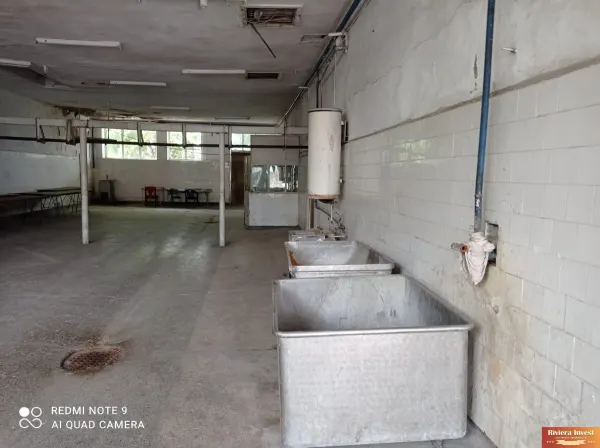 Spațiu industrial Medgidia - poza 4