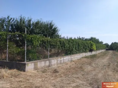 Poiana, str. Cerealelor, teren intravilan curti constructii 3417 mp de vanzare - foto 3