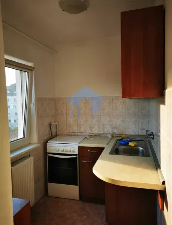 Apartament 1 camera Cluj-Napoca - poza 4