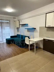 Apartament 2 camere, Plopilor - foto 4