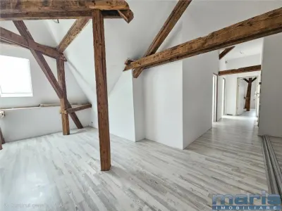Apartament 3 camere 2 bai Ultracentral 95 mp la mansarda - Targu Mures