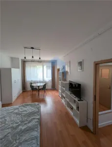 Apartament 1 camera, Piata Karl Liebknecht - foto 1