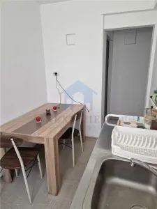 Apartament 1 camera, Horea - foto 5