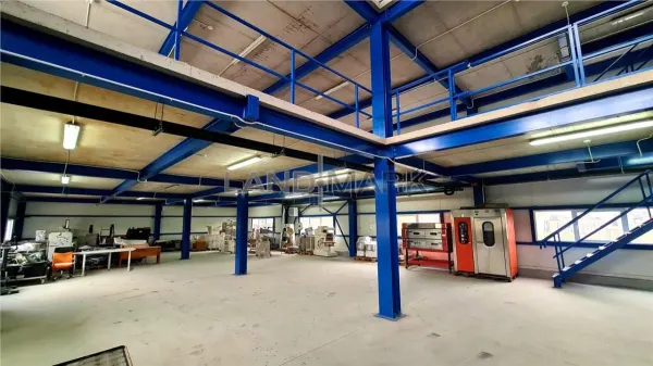 Spațiu industrial Timișoara - poza 2