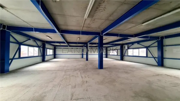 Spațiu industrial Timișoara - poza 6