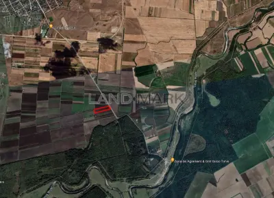 Teren pentru DEZVOLTARE de vanzare in zona Giroc spre padure - Timisoara