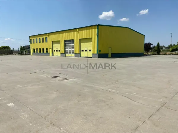Spațiu industrial Timișoara - poza 2