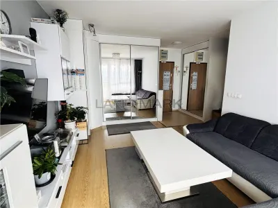 Apartament 3 camere Timișoara - poza 2