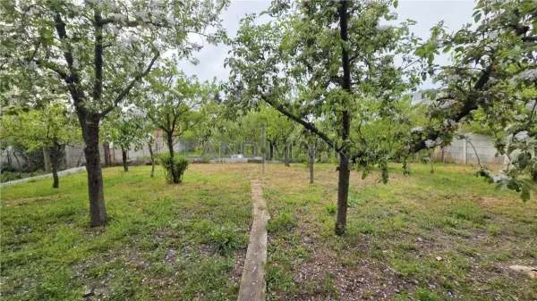 Casă 3 camere Timișoara - poza 14