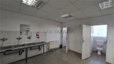 Hala industriala Timisoara, 2500 - 7500 mp , Calea Sagului - foto 10
