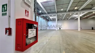Hala industriala Timisoara, 3500 mp, Zona Lugojului - foto 6