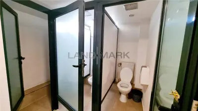 Spațiu comercial Timișoara - poza 17