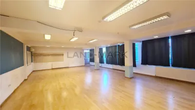 Spațiu comercial Timișoara - poza 10