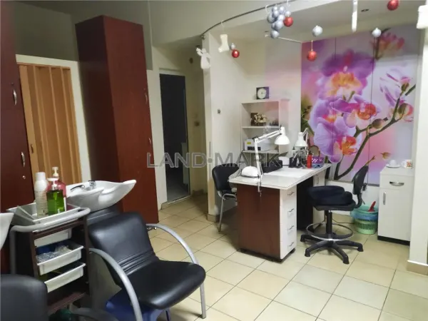 Spațiu comercial Timișoara - poza 3