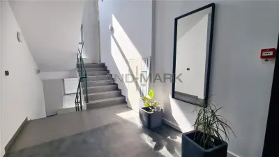 Spațiu comercial Timișoara - poza 5