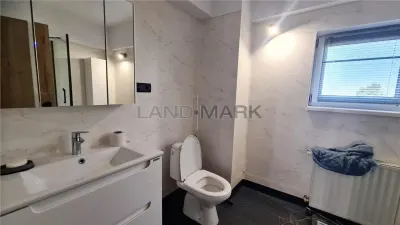 Spațiu comercial Timișoara - poza 9