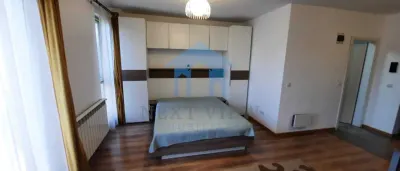 Apartament 1 camera, Andrei Muresanu - foto 4