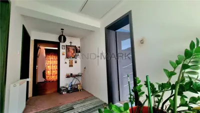 Vila individuala Sanandrei, la asfalt, zona superba - foto 10