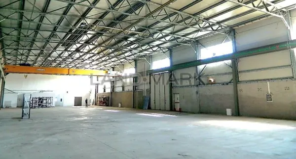 Spațiu industrial Timișoara - poza 2