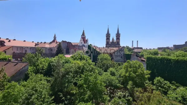 Apartament 2 camere Timișoara - poza 6