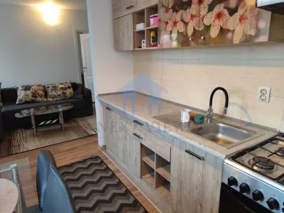 Apartament 2 camere, Intre Lacuri - foto 4