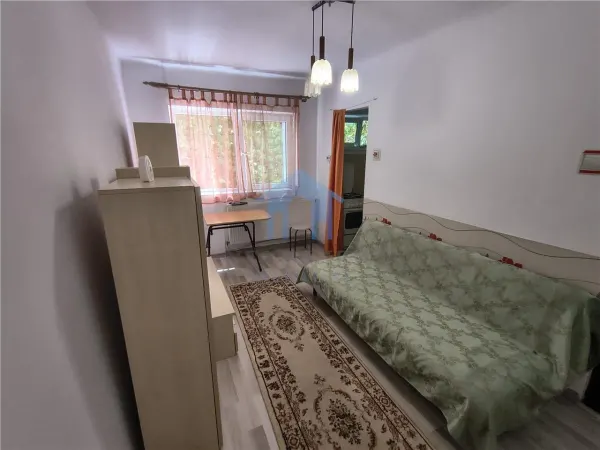 Apartament 1 camera Cluj-Napoca - poza 1