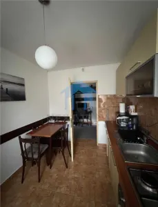 Apartament 1 camera Cluj-Napoca - poza 6