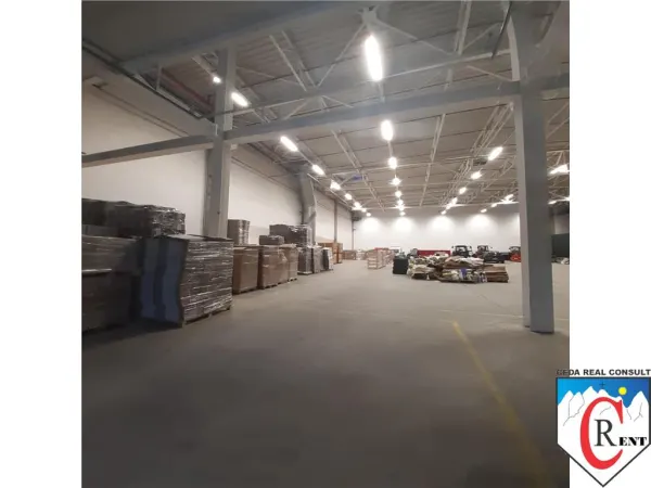 Spațiu industrial Chitila - poza 11