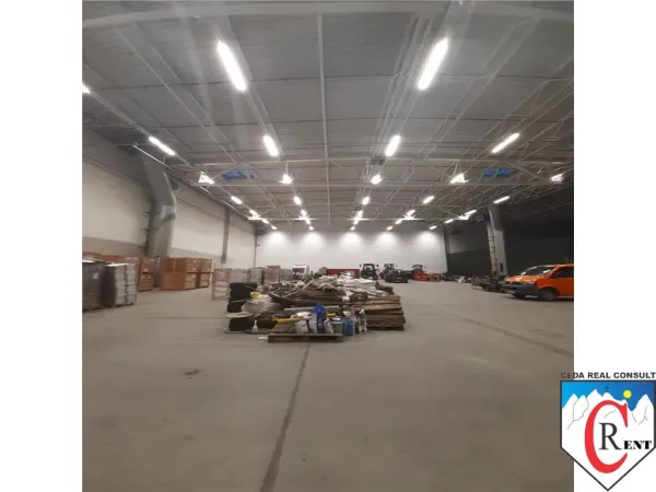 Spațiu industrial Chitila - poza 3