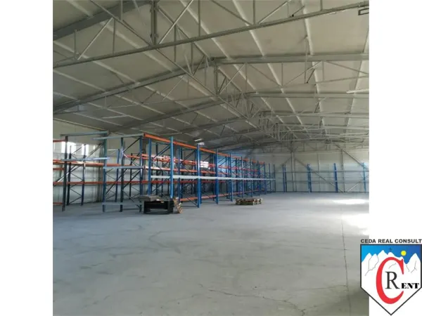 Spațiu industrial Afumați - poza 2