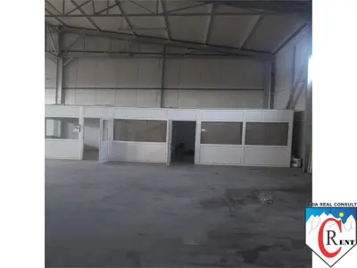 Hala 800mp la sosea intrarea in Sindrilita - foto 3