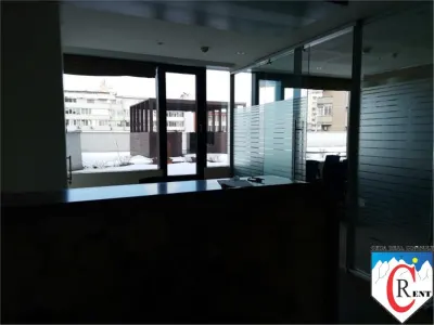 Birouri de inchiriat Iancu de Hunedoara - foto 7