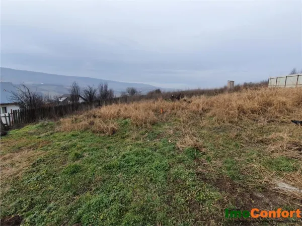 Teren Tomești - poza 2