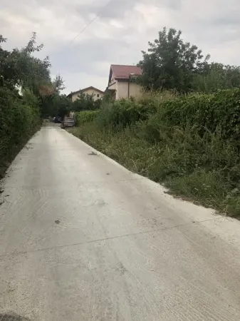 Teren Voluntari - poza 1
