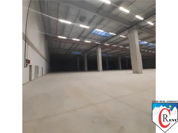 Spațiu industrial Chitila - poza 2