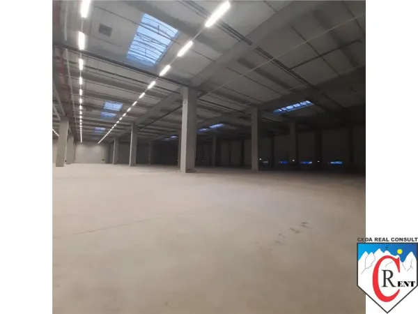 Spațiu industrial Chitila - poza 6