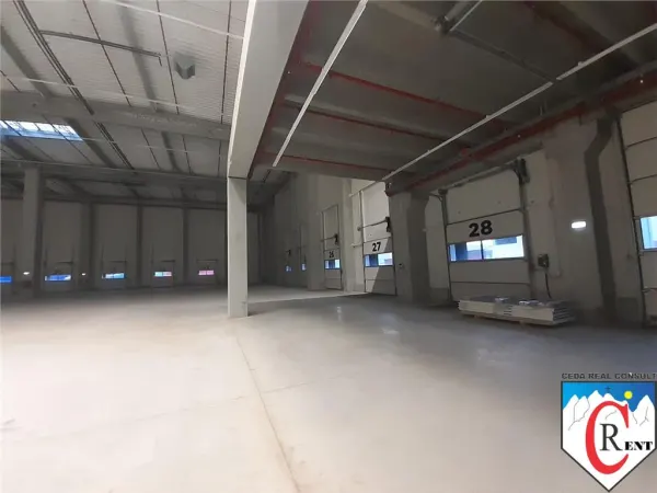 Spațiu industrial Chitila - poza 7