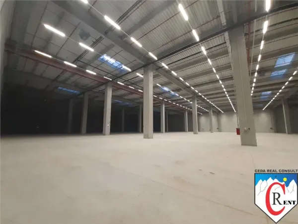 Spațiu industrial Chitila - poza 8