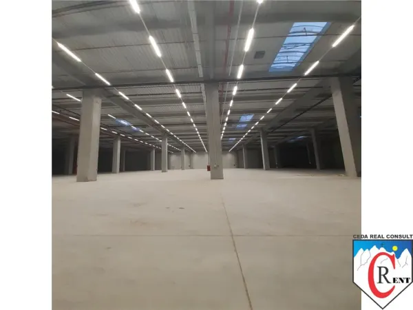 Spațiu industrial Chitila - poza 9
