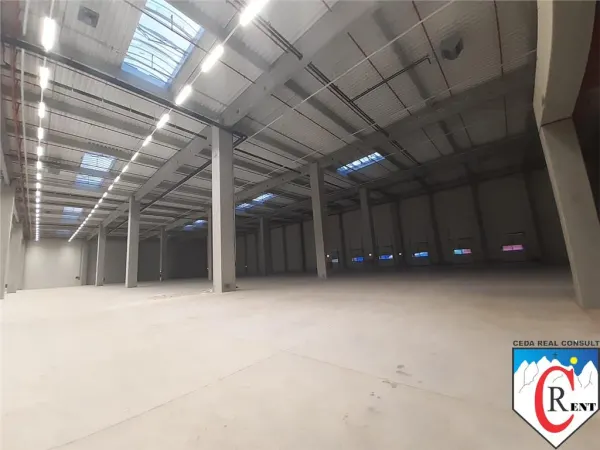 Spațiu industrial Chitila - poza 10