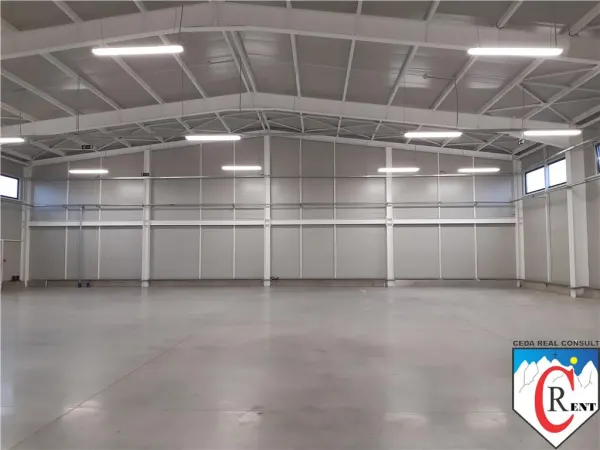 Spațiu industrial Afumați - poza 1