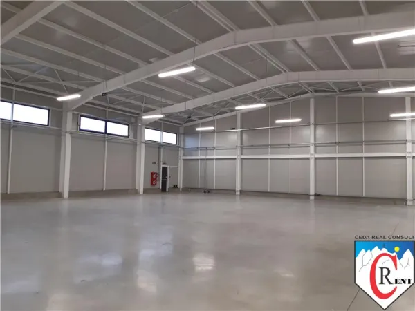 Spațiu industrial Afumați - poza 2