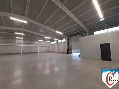 Spațiu industrial Afumați - poza 8