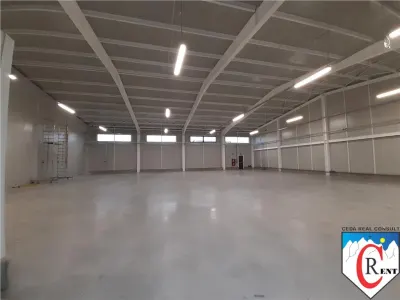 Spațiu industrial Afumați - poza 10