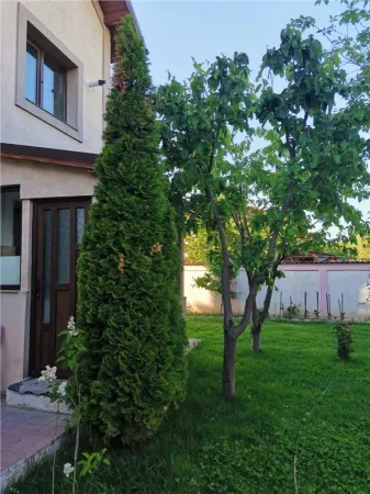 Casă 8 camere Voluntari - poza 5