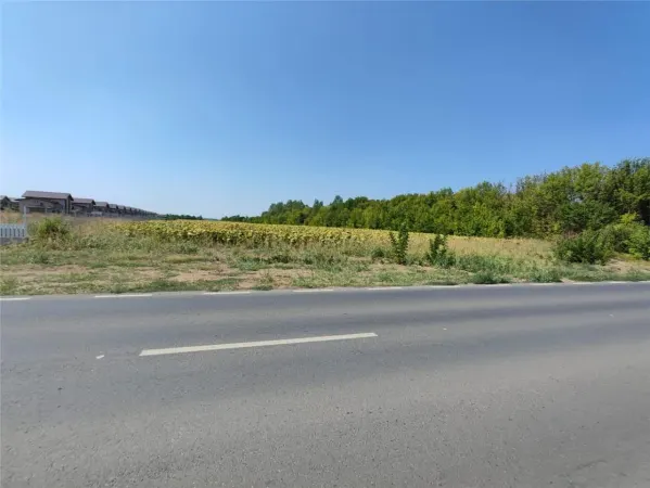 Teren Balotești - poza 4