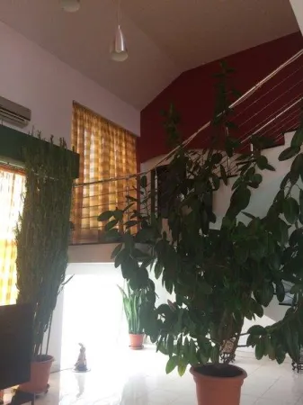 Casă 7 camere București - poza 7