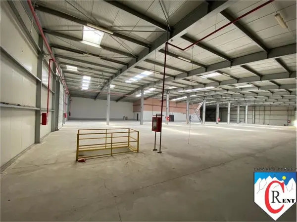Spațiu industrial Otopeni - poza 4