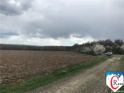 Teren 7000 mp in Ciolpani, 20 euro mp - foto 1